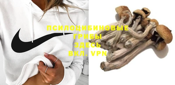 шишки Белокуриха