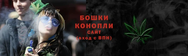 шишки Белокуриха
