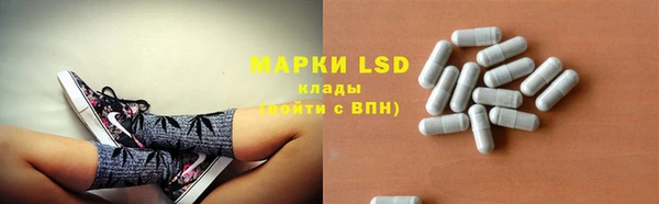 PSILOCYBIN Бугульма