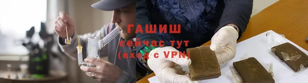 шишки Белокуриха