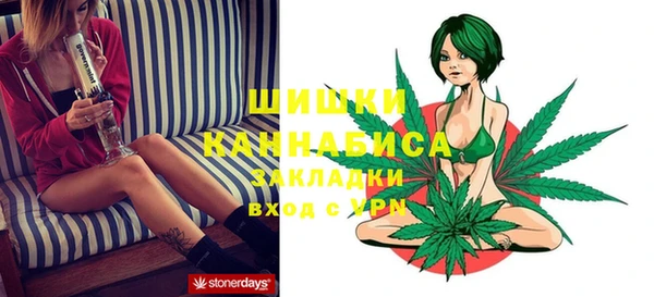 шишки Белокуриха