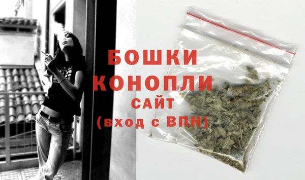 PSILOCYBIN Бугульма